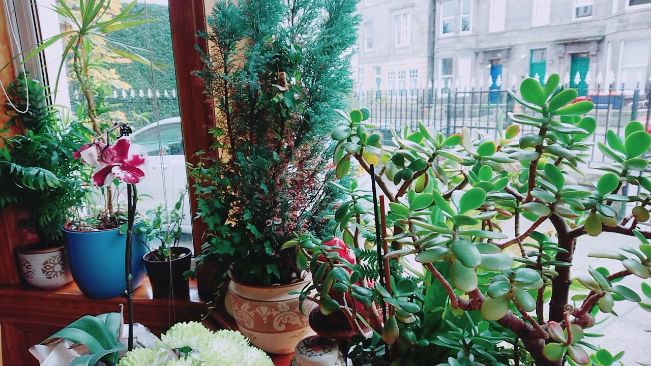 Swan Lake Guest House Εδιμβούργο Εξωτερικό φωτογραφία